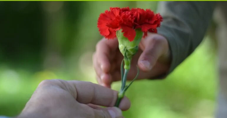 Die Hand eines Erwachsenen reicht eine rote Nelke zur hand eines Kindes.