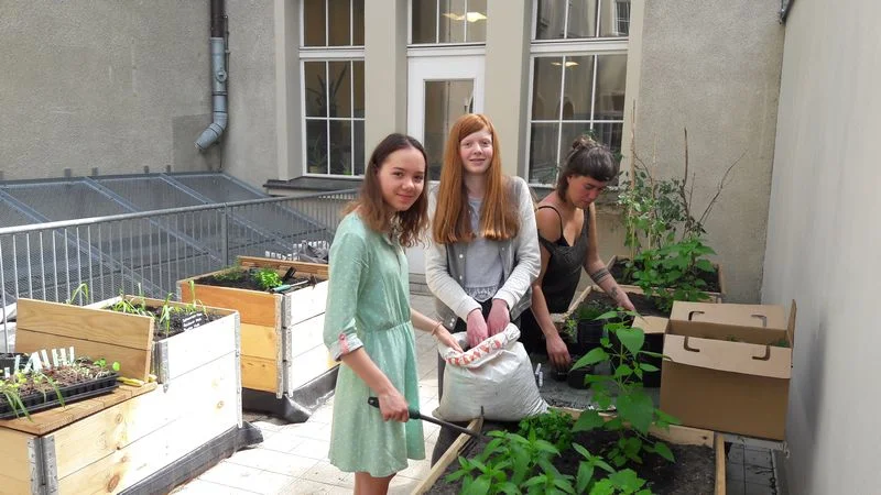 Hochbeetpflanzung | Stiftung Bildung fördert Urban Gardening Projekt