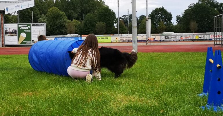 Therapiehund Socke Projekt Chancenpatenschaften.