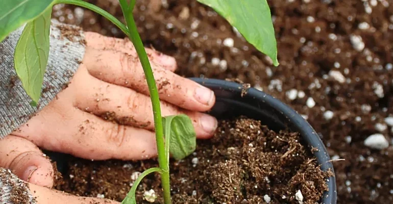 Projekt "Unser Dorfgarten" - Nominiert für den Förderpreis 2024 - Slide